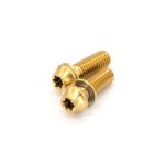 77Designz Tornillo de titanio para calipers Ti M6x18 T25 con arandela (x1) - Imagen 4