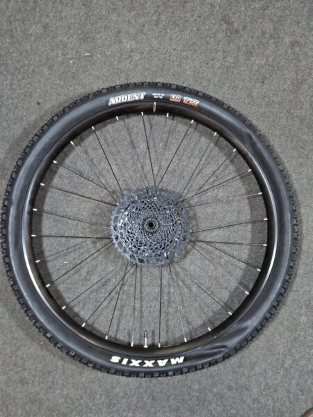 Rueda de bicicleta de montaña Maxxis Ardent en suelo gris.