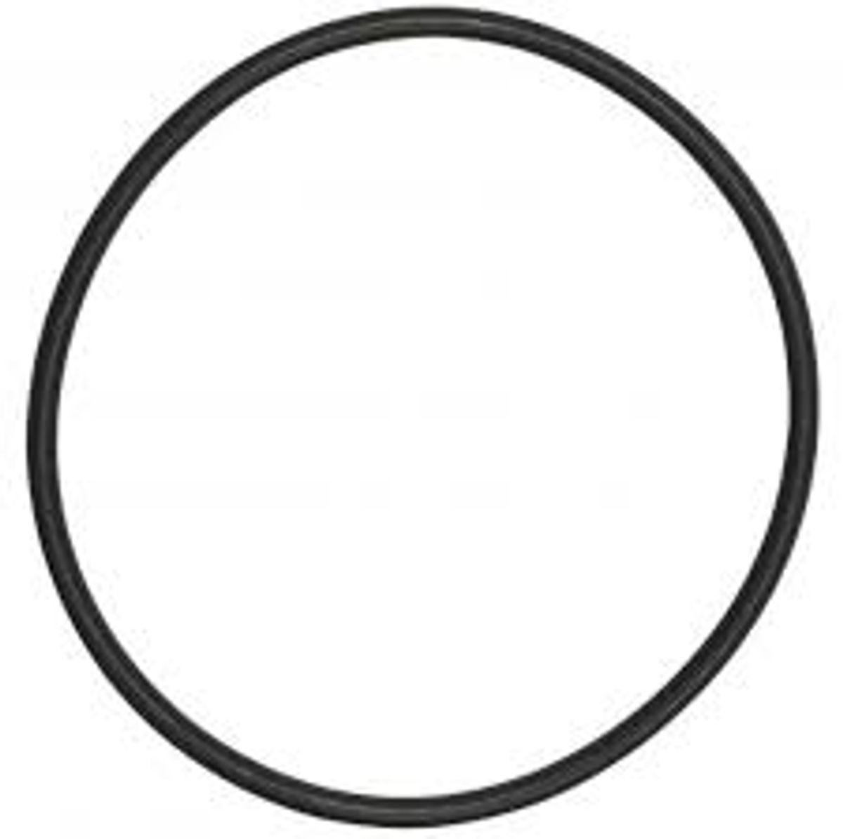 Bosch - O Ring - G4 para ejes de motor Bosch de cuarta generación (Gen 4) para DUNE, SLY (Ref. 124.21001 )